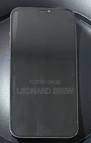 Apple iPhone 12 Pro Max 128 GB Silver