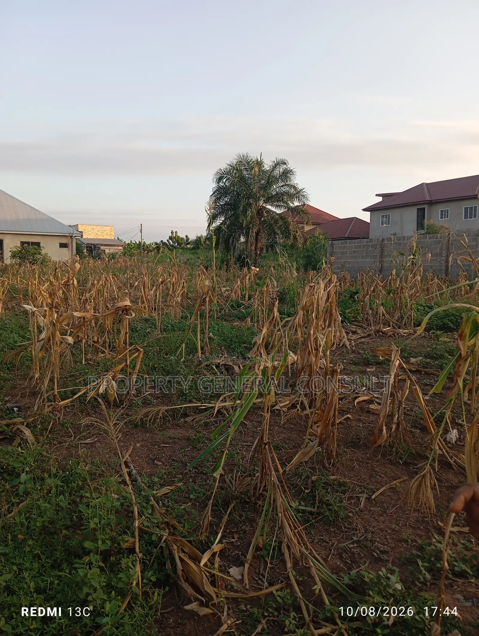 One and Half Plots at Ho Poly