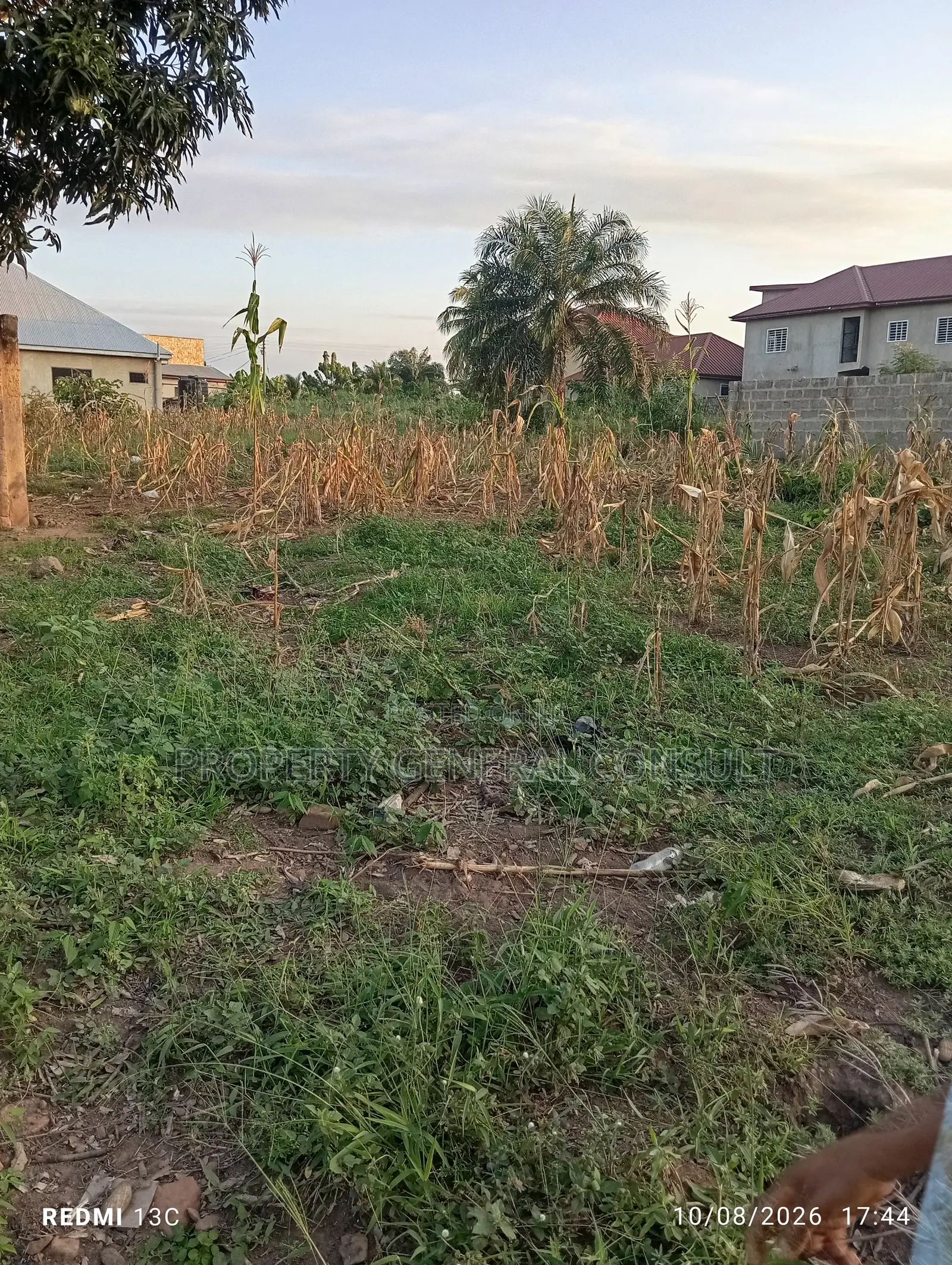 One and Half Plots at Ho Poly
