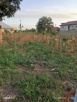 One and Half Plots at Ho Poly