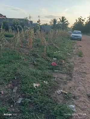 One and Half Plots at Ho Poly