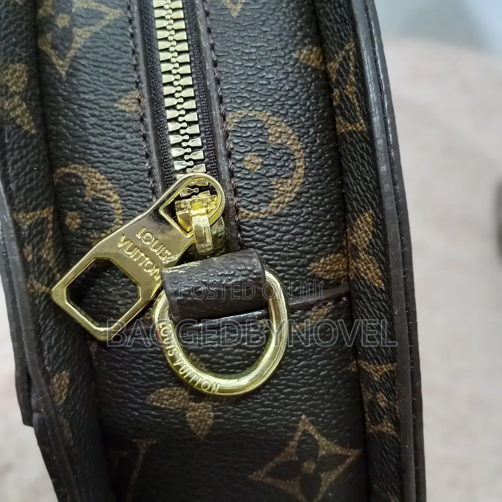 LV Monogram Fan Bag