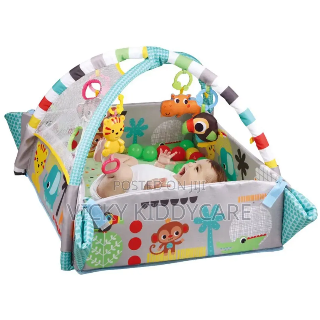 Activity Gym and Ball Pit With 30 PCS Balls