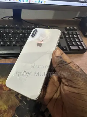 iPhone X Board and Body