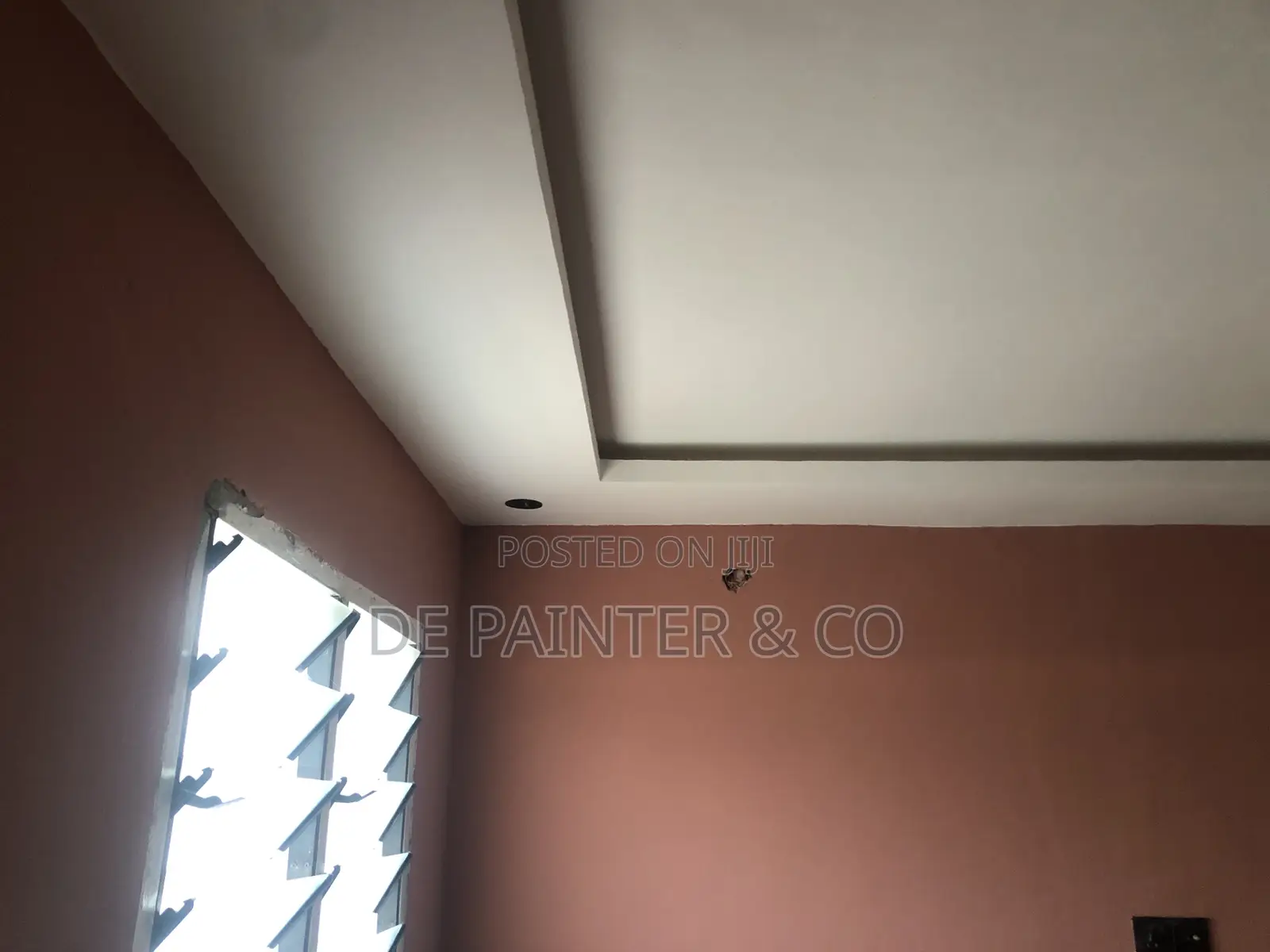 Professional Painter_Reliable and Affordable