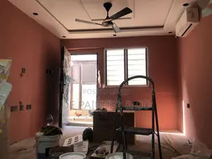 Professional Painter_Reliable and Affordable