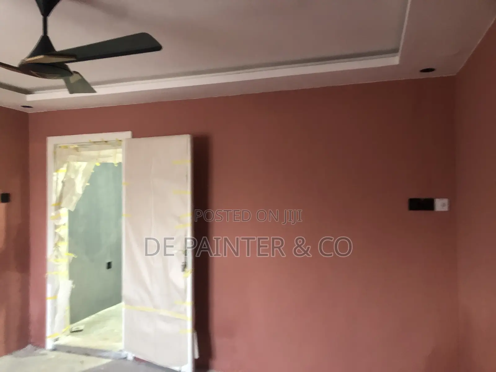 Professional Painter_Reliable and Affordable