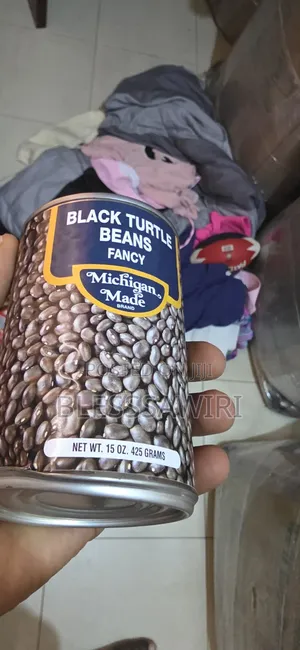 Black Turtle Beans From USA