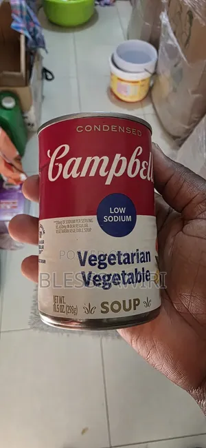 Campbell's Vegetarian Vegetable Soup Canned Condensed From USA
