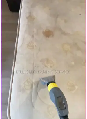Let’s Us Revive Your Old Sofa in New and Thank Me Later