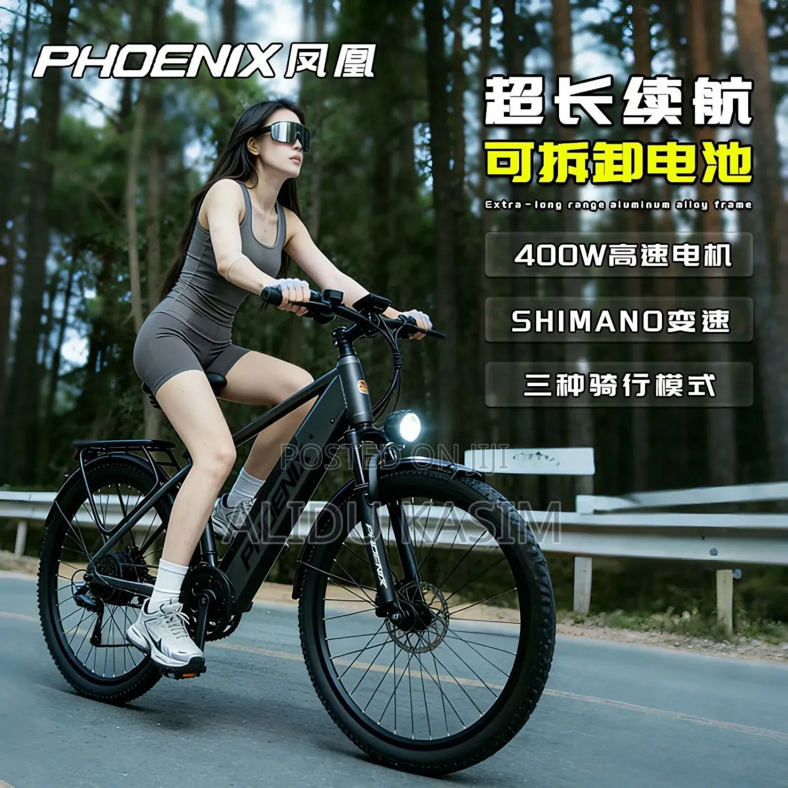 Electric Bike