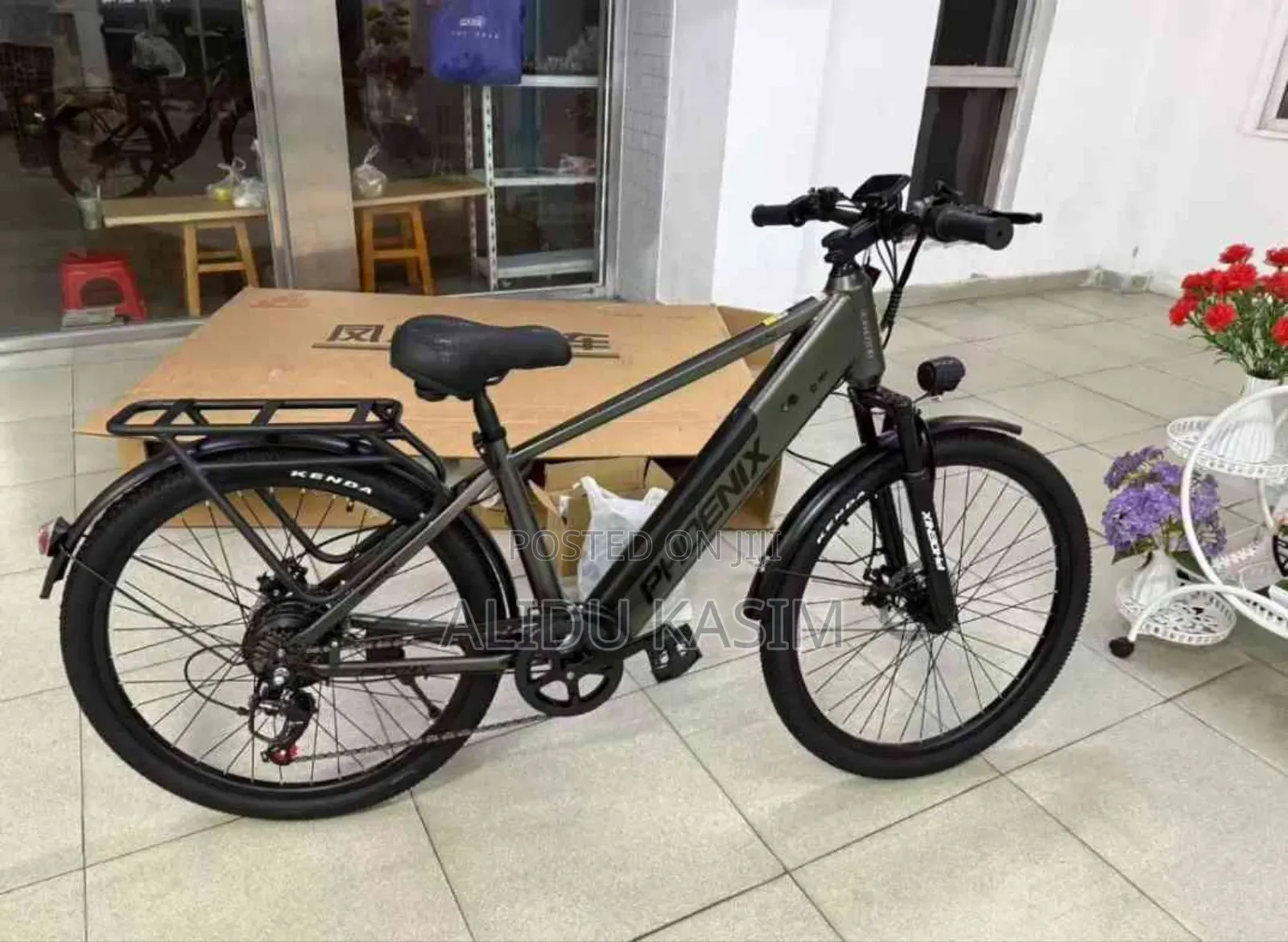 Electric Bike