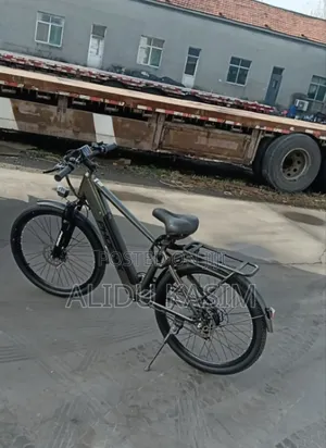 Electric Bike