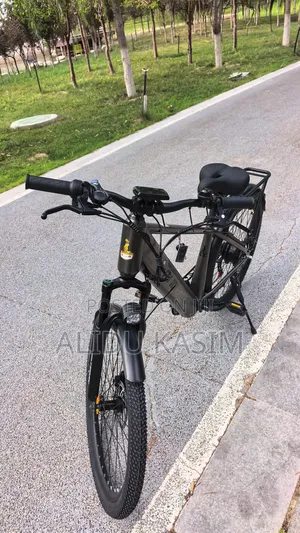 Electric Bike