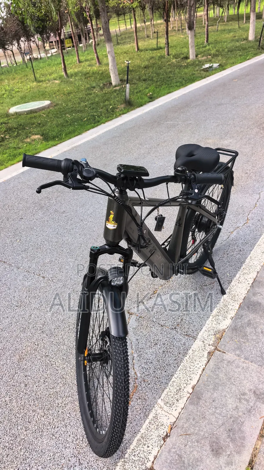 Electric Bike