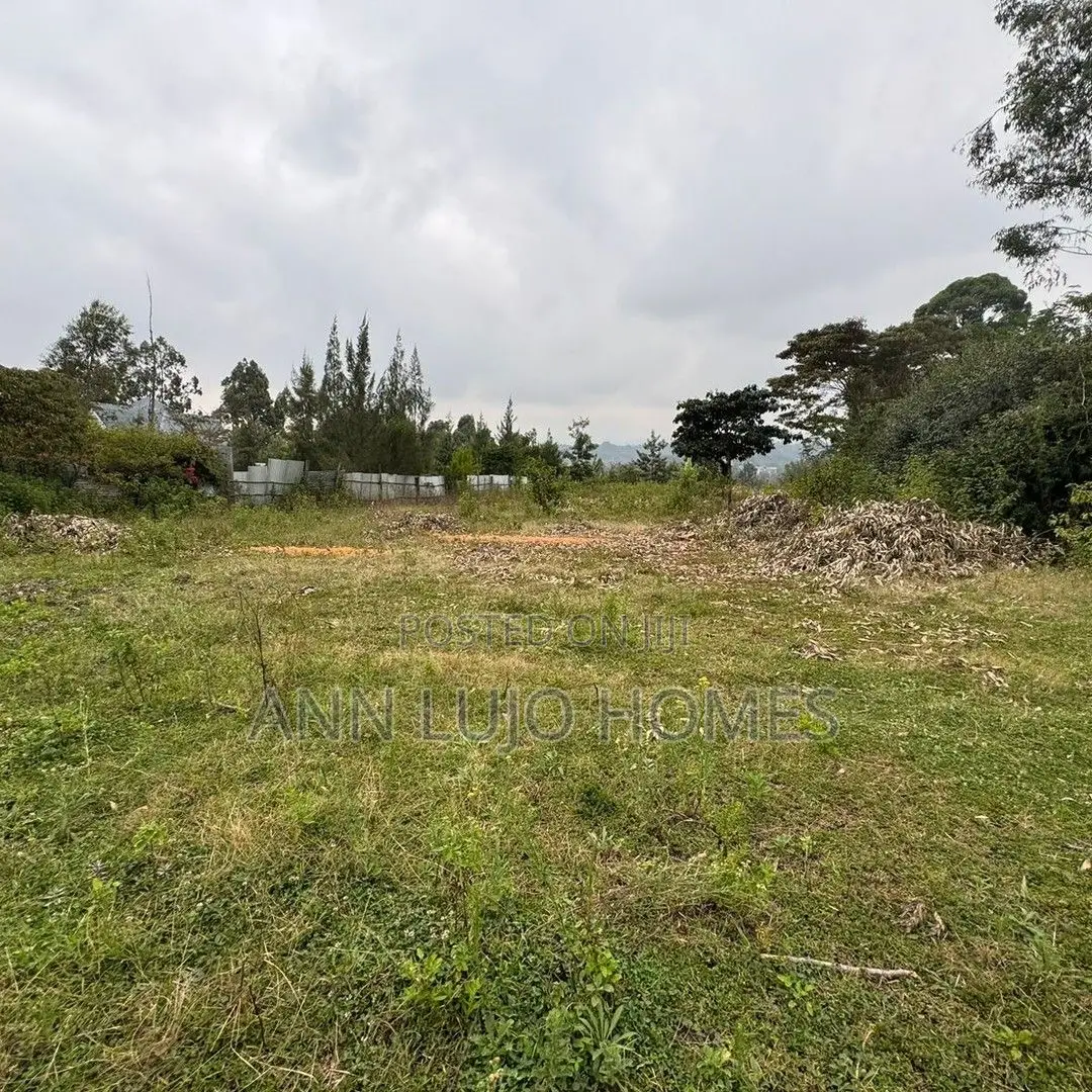 Titled 2 Plots of Land for Sale at East Airport