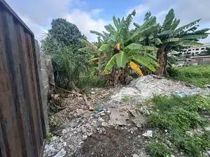Titled 1 Plot of Land at Haatso