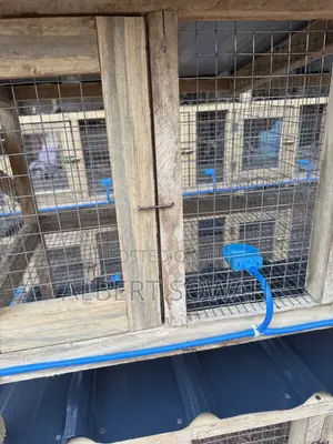 4 Rooms Modern Rabbit and Grasscutter Cage