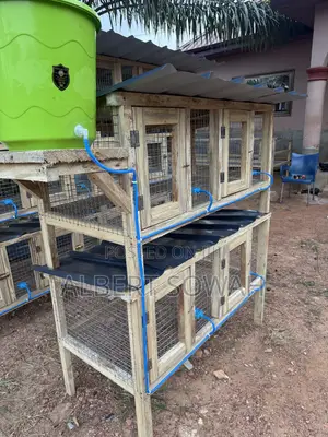 4 Rooms Modern Rabbit and Grasscutter Cage