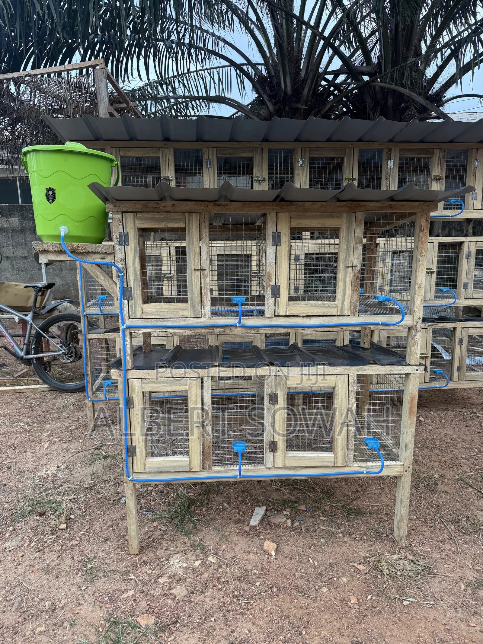 4 Rooms Modern Rabbit and Grasscutter Cage