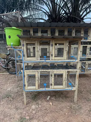 4 Rooms Modern Rabbit and Grasscutter Cage