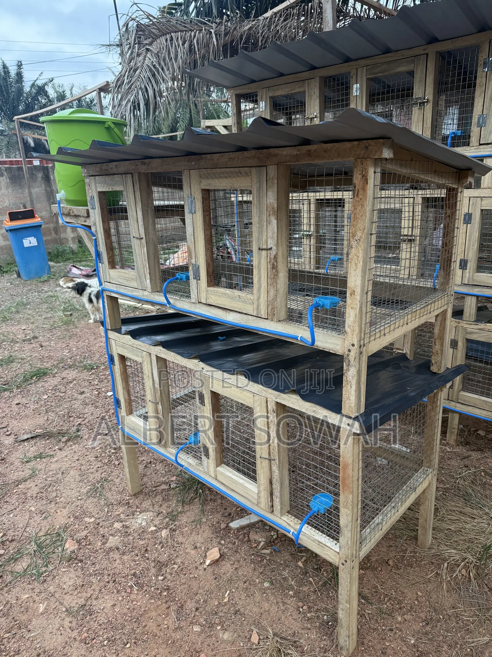 4 Rooms Modern Rabbit and Grasscutter Cage