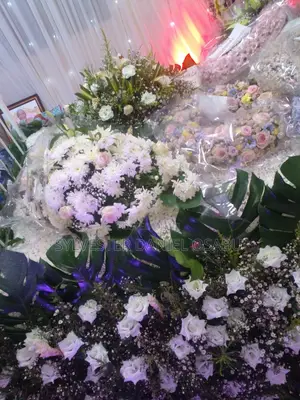 Dorxzen Event Services