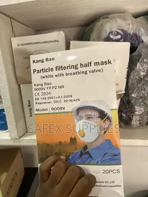 FFP2 Dust Mask