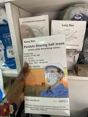 FFP2 Dust Mask