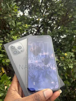 Apple iPhone 13 Pro Max 256 GB Black