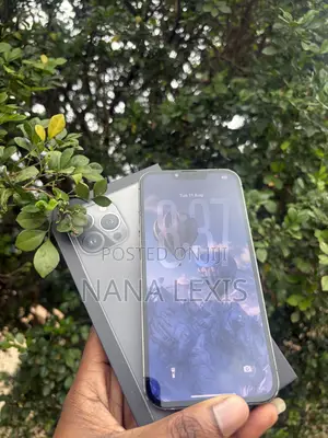 Apple iPhone 13 Pro Max 256 GB Black
