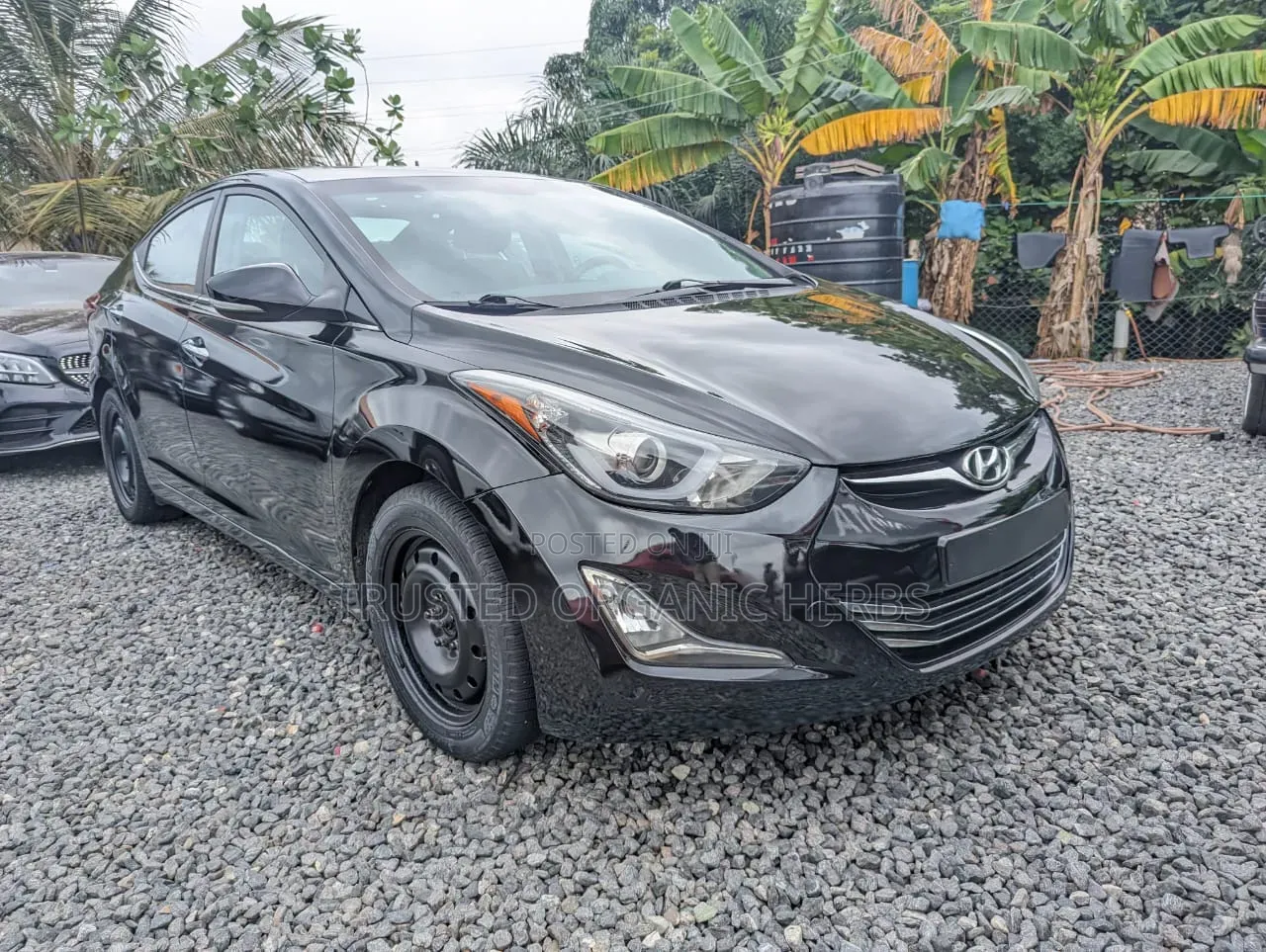 Hyundai Elantra Limited Sedan FWD (1.8L 4cyl 6A) 2016 Black