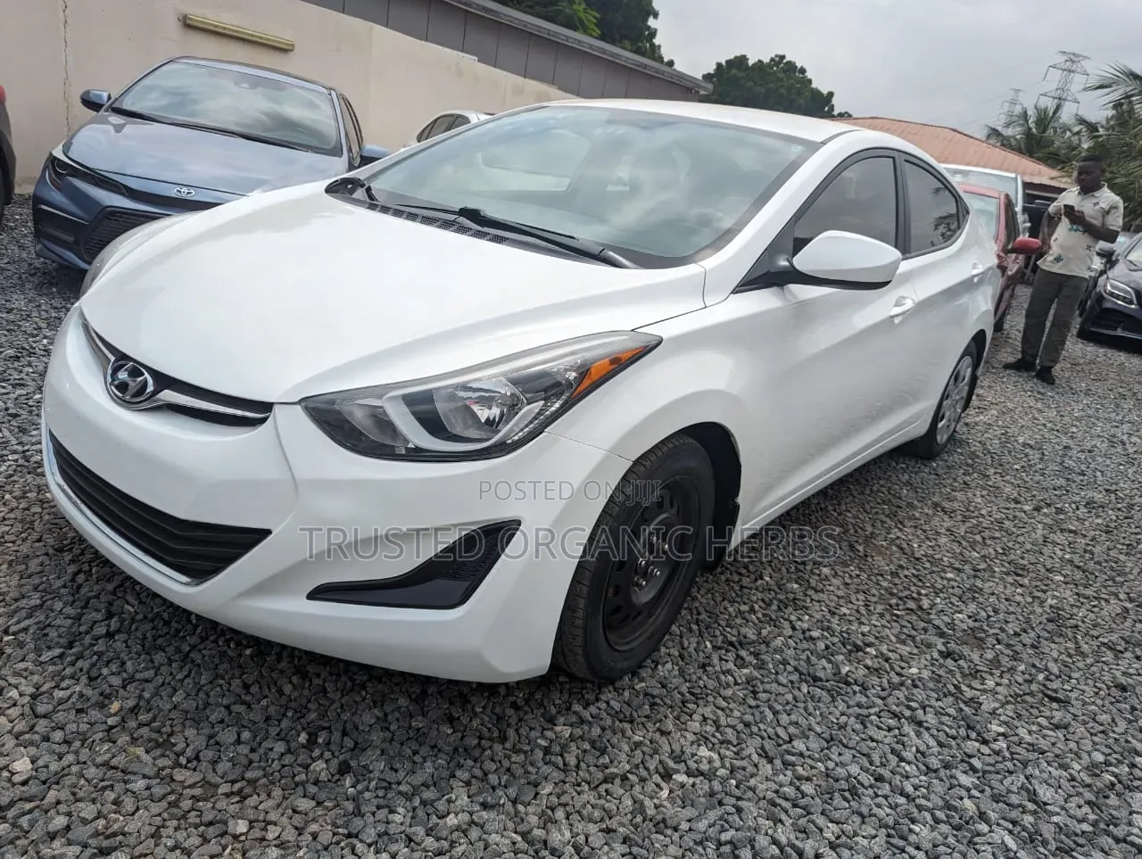 Hyundai Elantra Limited 4dr Sedan (1.8L 4cyl 6A) 2014 White