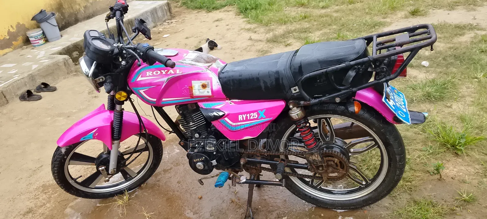 Royal RY125 2025 Pink