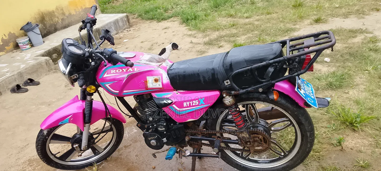 Royal RY125 2025 Pink