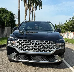 Hyundai Santa Fe 2023 Gray