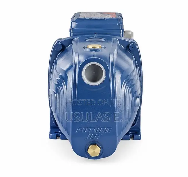 Pedrollo 1.5HP Surface Pump