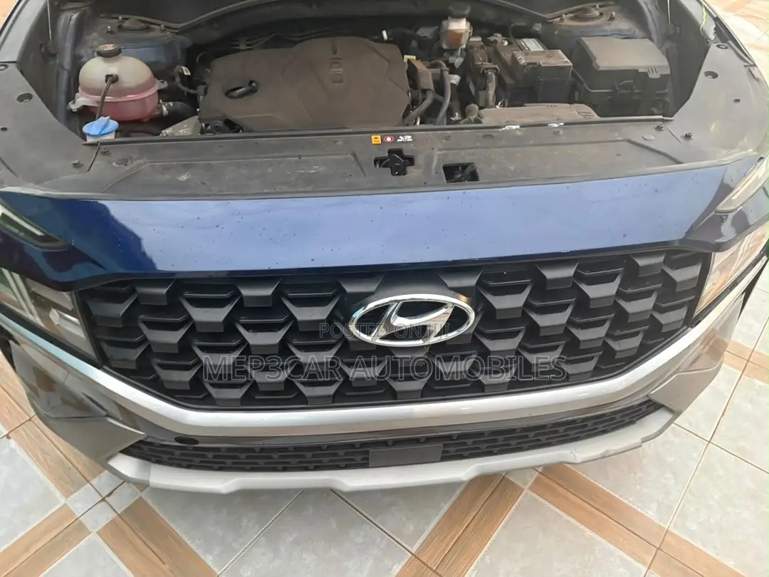 Hyundai Santa Fe 2021 Blue