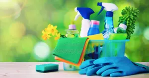 Elite Cleaning Services