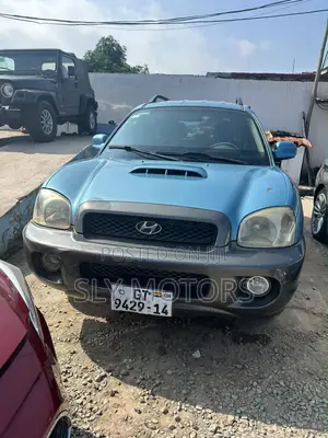 Hyundai Santa Fe 2.2 CRDi Automatic 2007 Blue