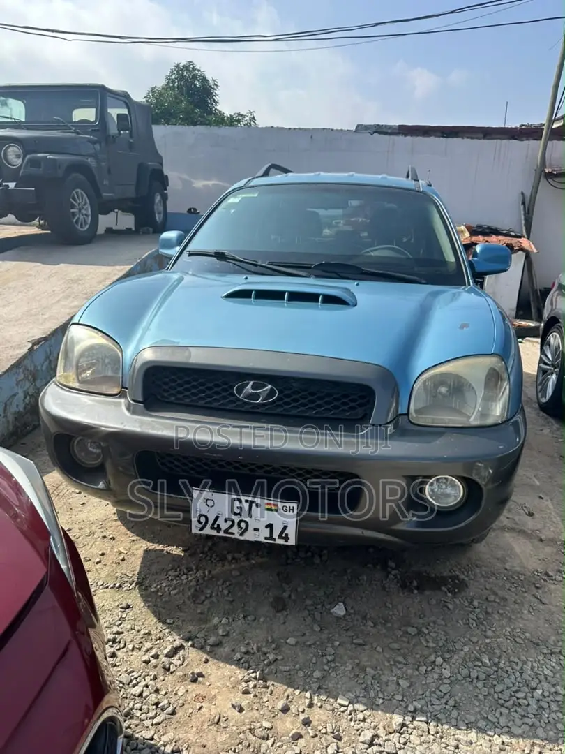 Hyundai Santa Fe 2.2 CRDi Automatic 2007 Blue