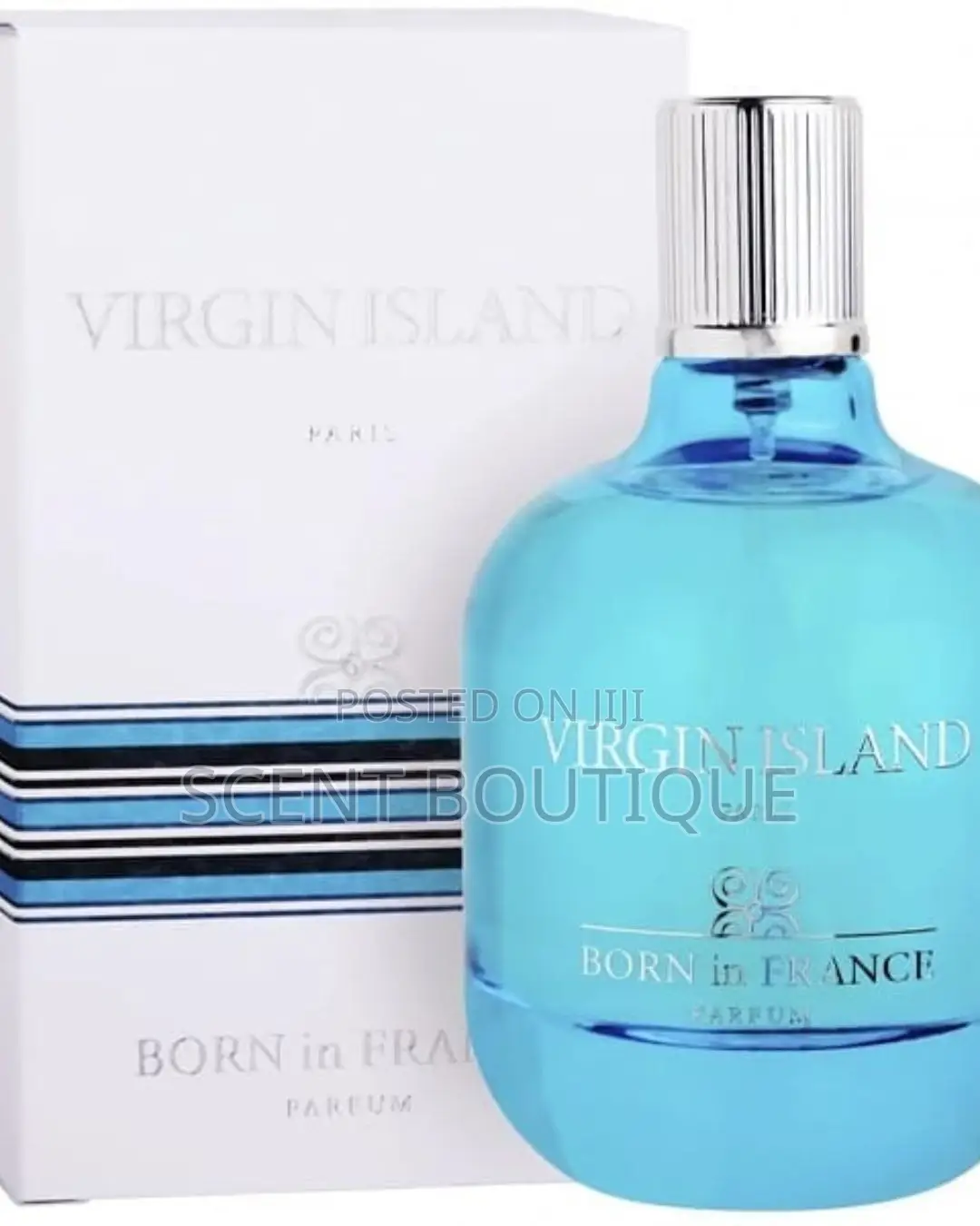 Virgin Island Born in France Eau De Parfum — Unisex Perfume (100ml)