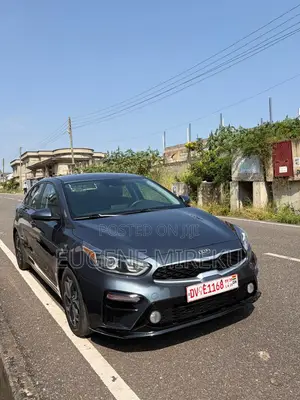 Kia Forte LXS 2019 Silver