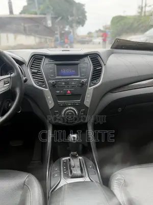 Hyundai Santa Fe Limited FWD 2017 Gray
