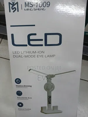 Dual Model Lamp