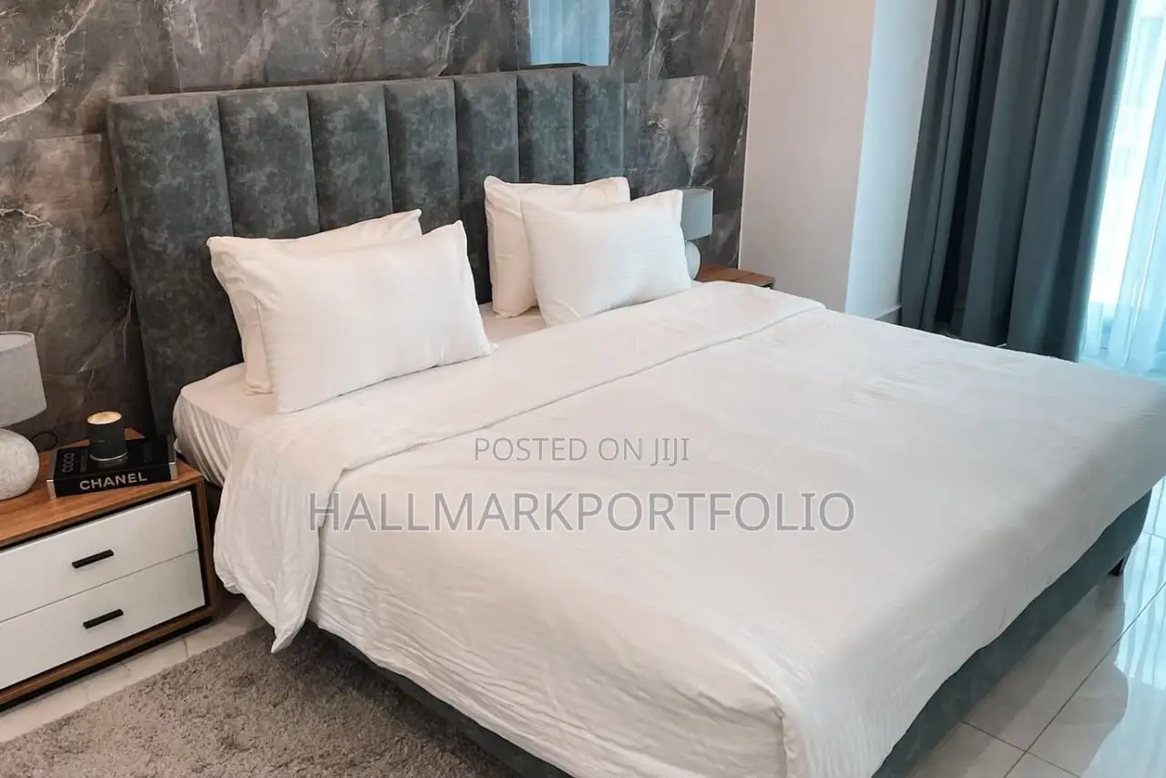 Furnished 2bdrm Apartment in Kass Apartment, Airport Residential Area