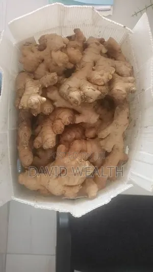 Fresh Imported Ginger