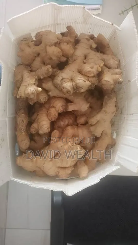 Fresh Imported Ginger