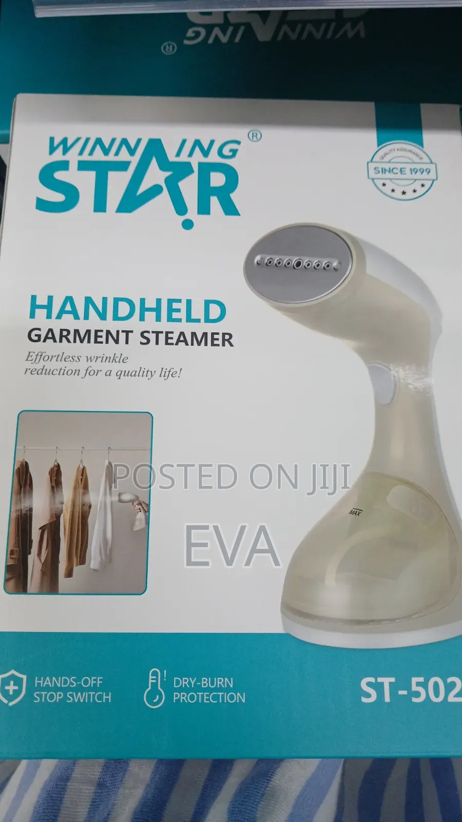 Handheld Steam Iron