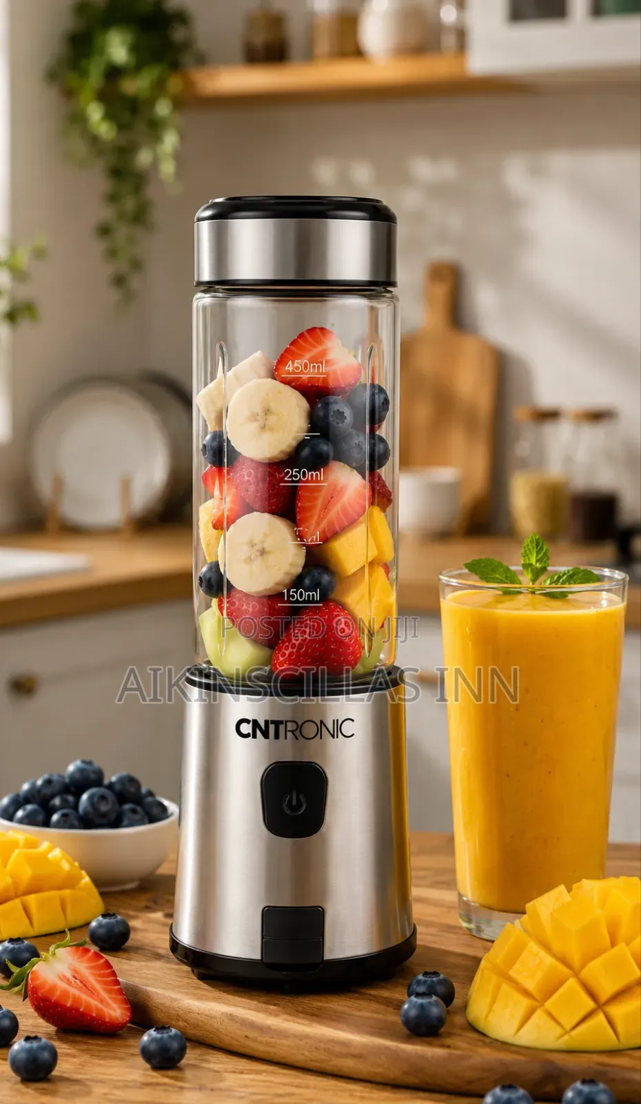 Cntronic Portable Rechargeable Juice Blender